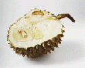 Durian vs Ibu Hamil